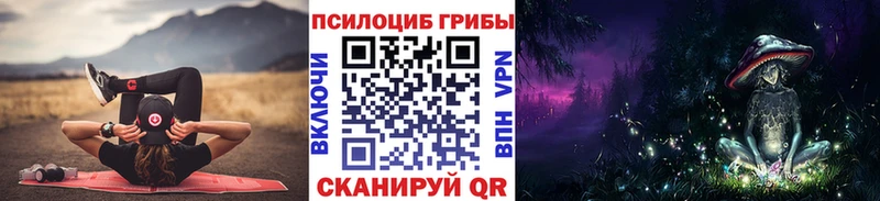 наркота  Корсаков  Псилоцибиновые грибы мицелий 