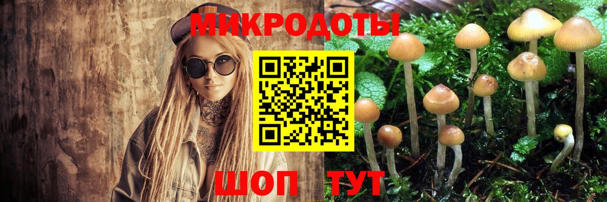 Псилоцибиновые грибы Psilocybine cubensis  Вход с VPN  Корсаков 